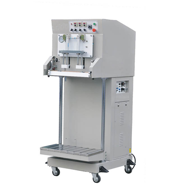 DZ-600L Vertical type External Vacuum sealer