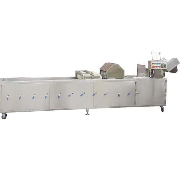 Ozone Disinfection Fruit Vegetable Washer Machine