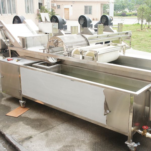 Ozone Disinfection Fruit Vegetable Washer Machine