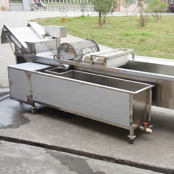 Commercial Bubble Vegetable Leaf Washer