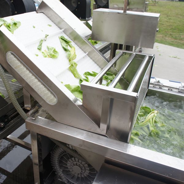 Commercial Bubble Vegetable Leaf Washer