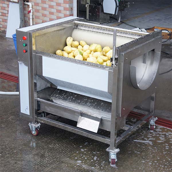 Amphisarca Washing Peeling Machine