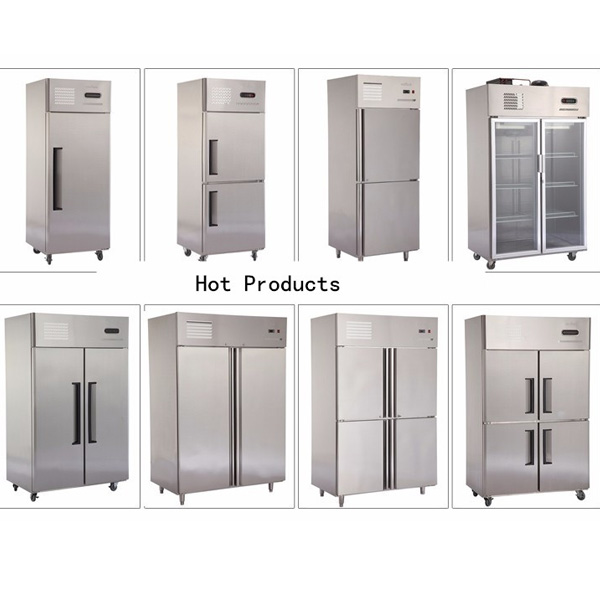 Commercial Upright Deep Fridge