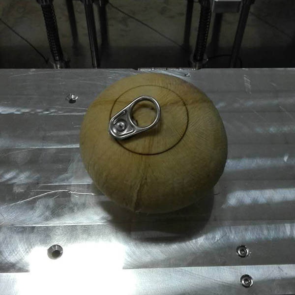 Co2 Laser Engraving and Cutting Machine for Coconut