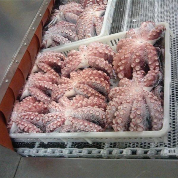 Squid IQF Quick Tunnel Blast Freezer Machine