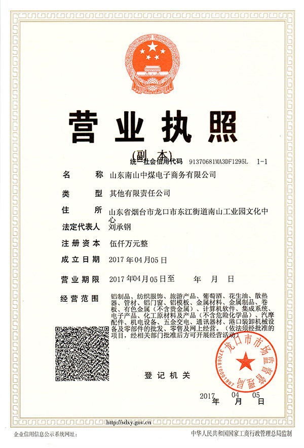 Congratulate Our Shandong Nanshan Zhongmei E-commerce Co., Ltd on Formally Establishing