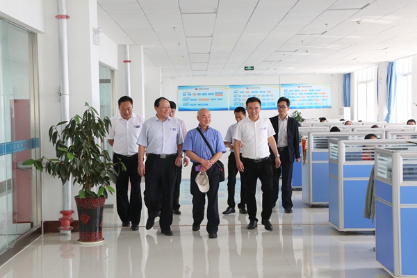 China Association for Science and Technology Haizhi Plan Experts To Visit Our Group For Guidance